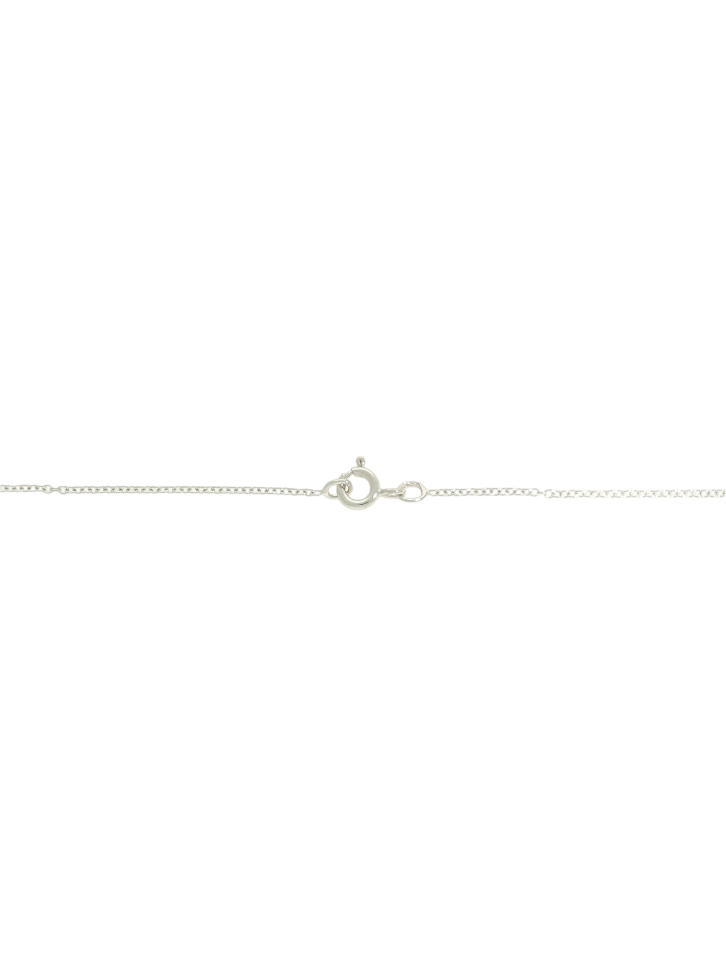 White-gold chain with bolt ring clasp on a white background.