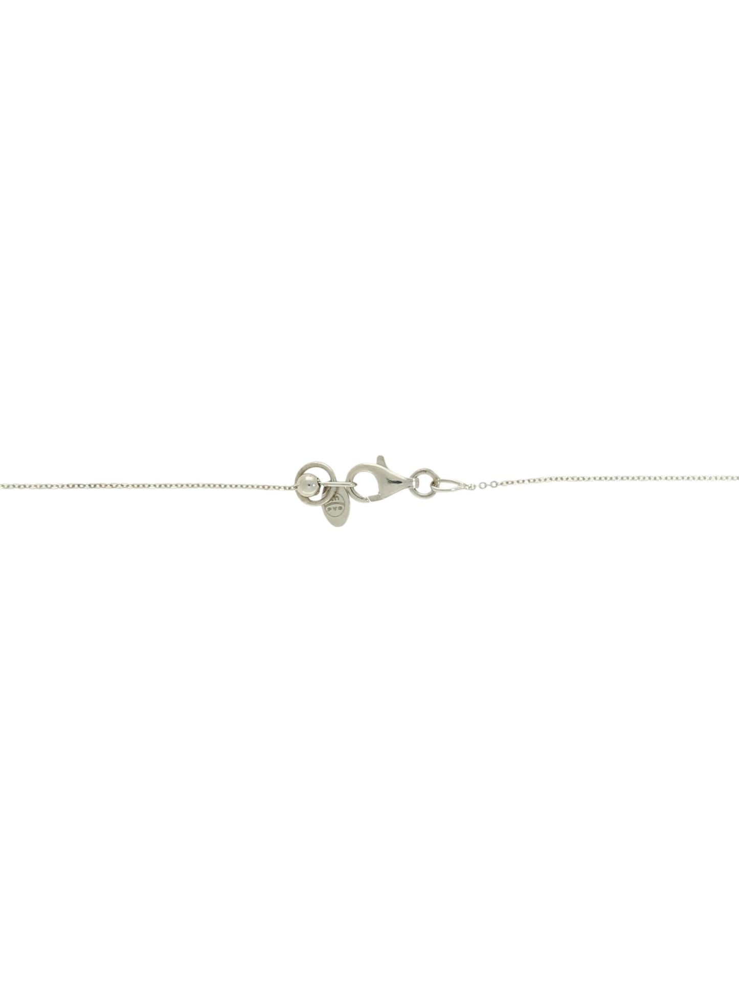 White-gold chain with trigger clasp on a white background.