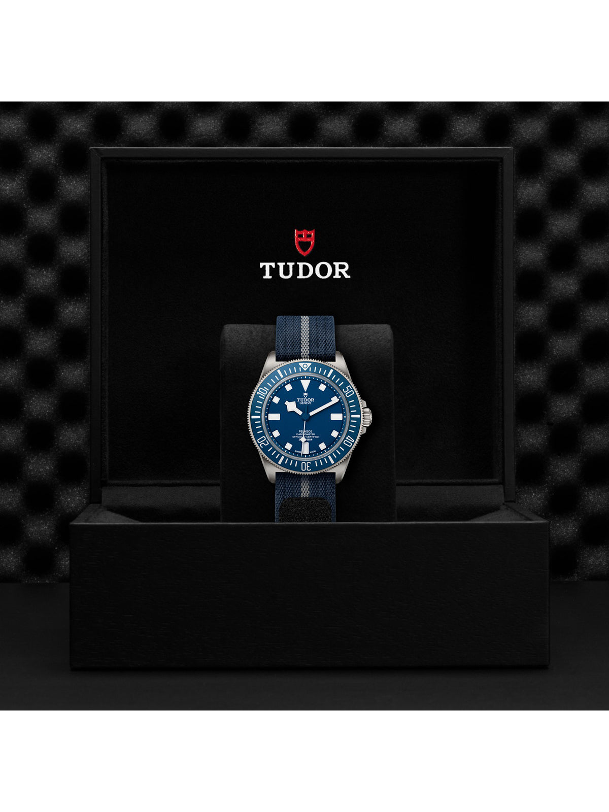 TUDOR Pelagos FXD Watch M25707B/24-0001