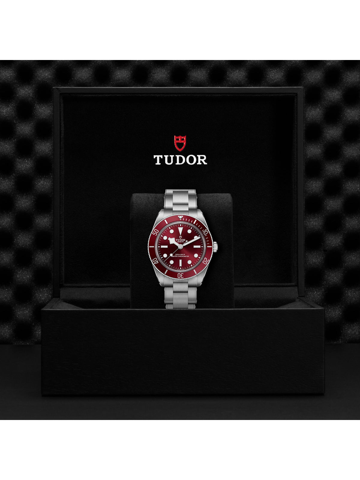 TUDOR Black Bay 58 Watch 39mm M7939A1A0RU-0002