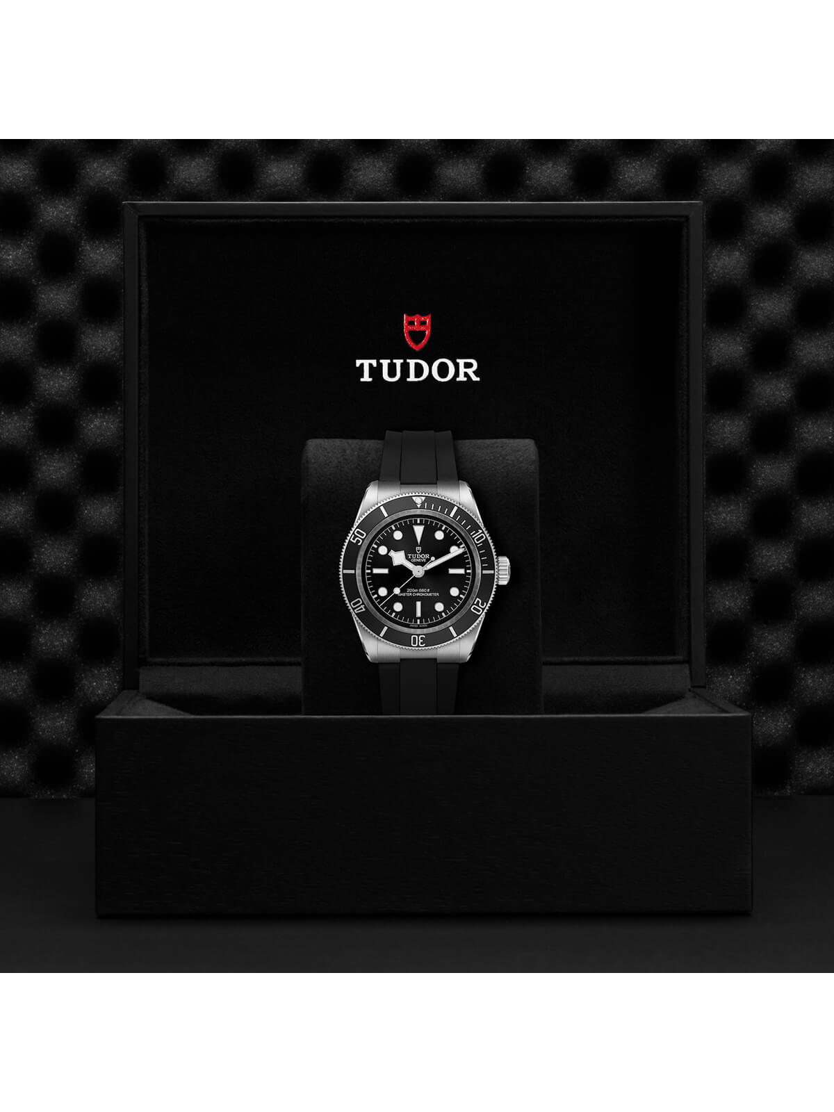 TUDOR Black Bay Watch 41mm M7941A1A0NU-0002
