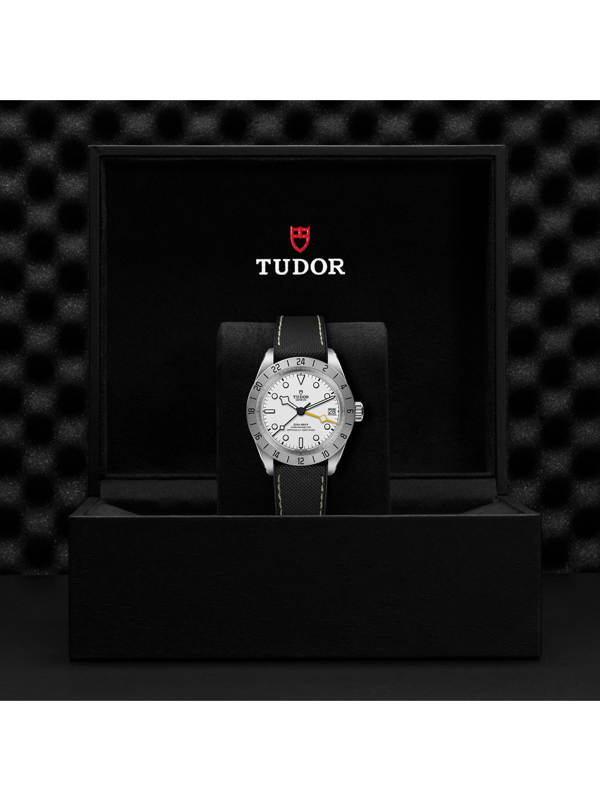 TUDOR Black Bay Pro Watch 39mm M79470-0006