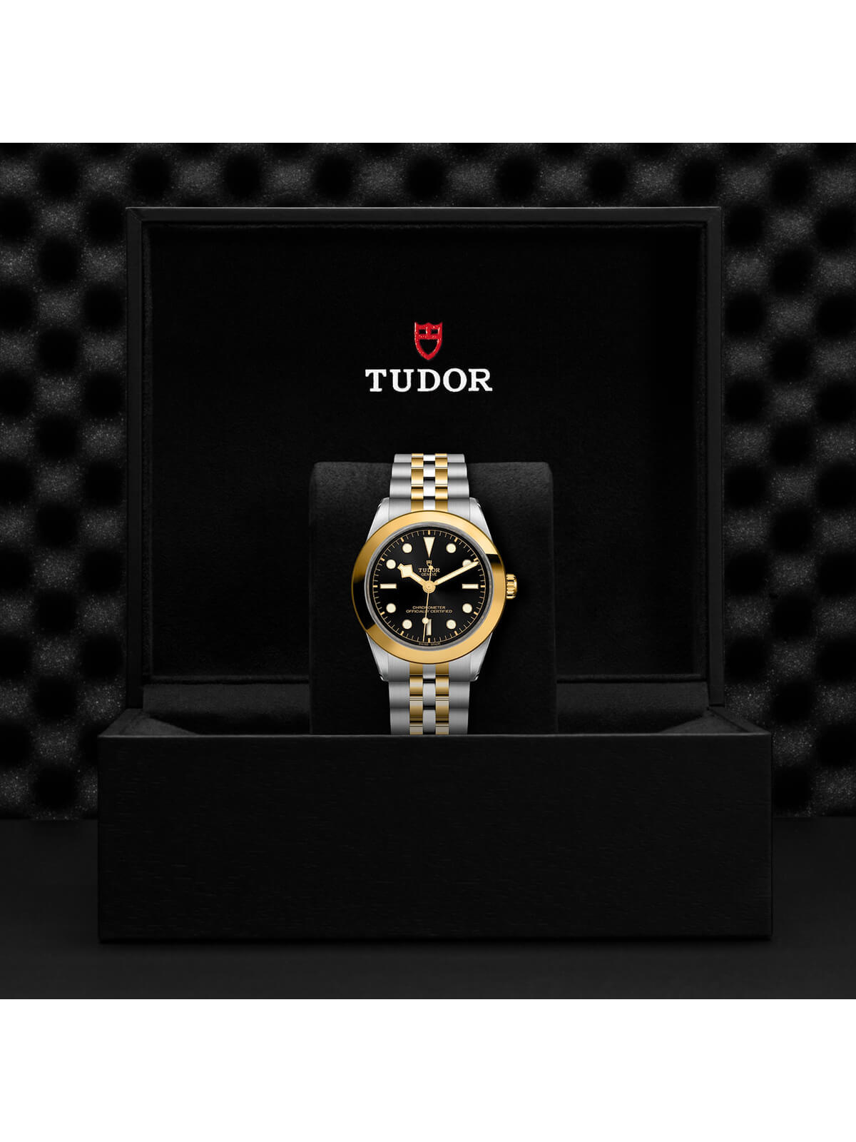 TUDOR Black Bay One S&G Watch 39mm M79663-0001