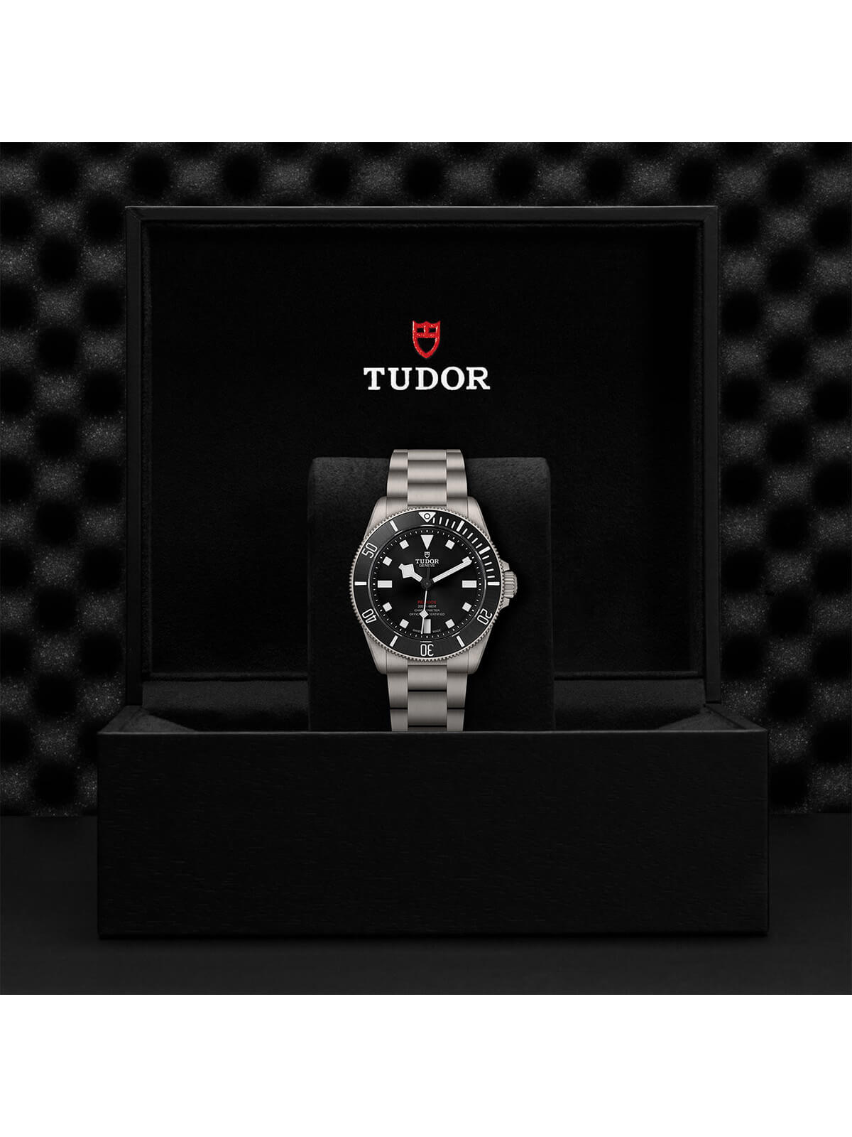 TUDOR Pelagos Watch 39mm M25407N-0001