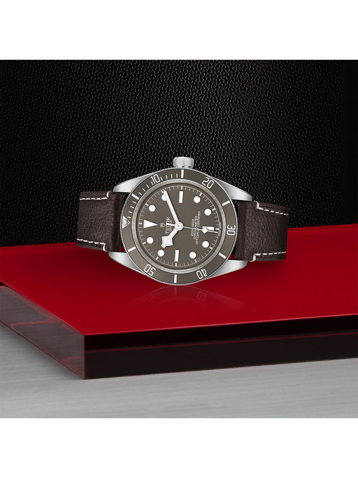 TUDOR Black Bay Fifty-Eight 925 Watch 39mm M79010SG-0001