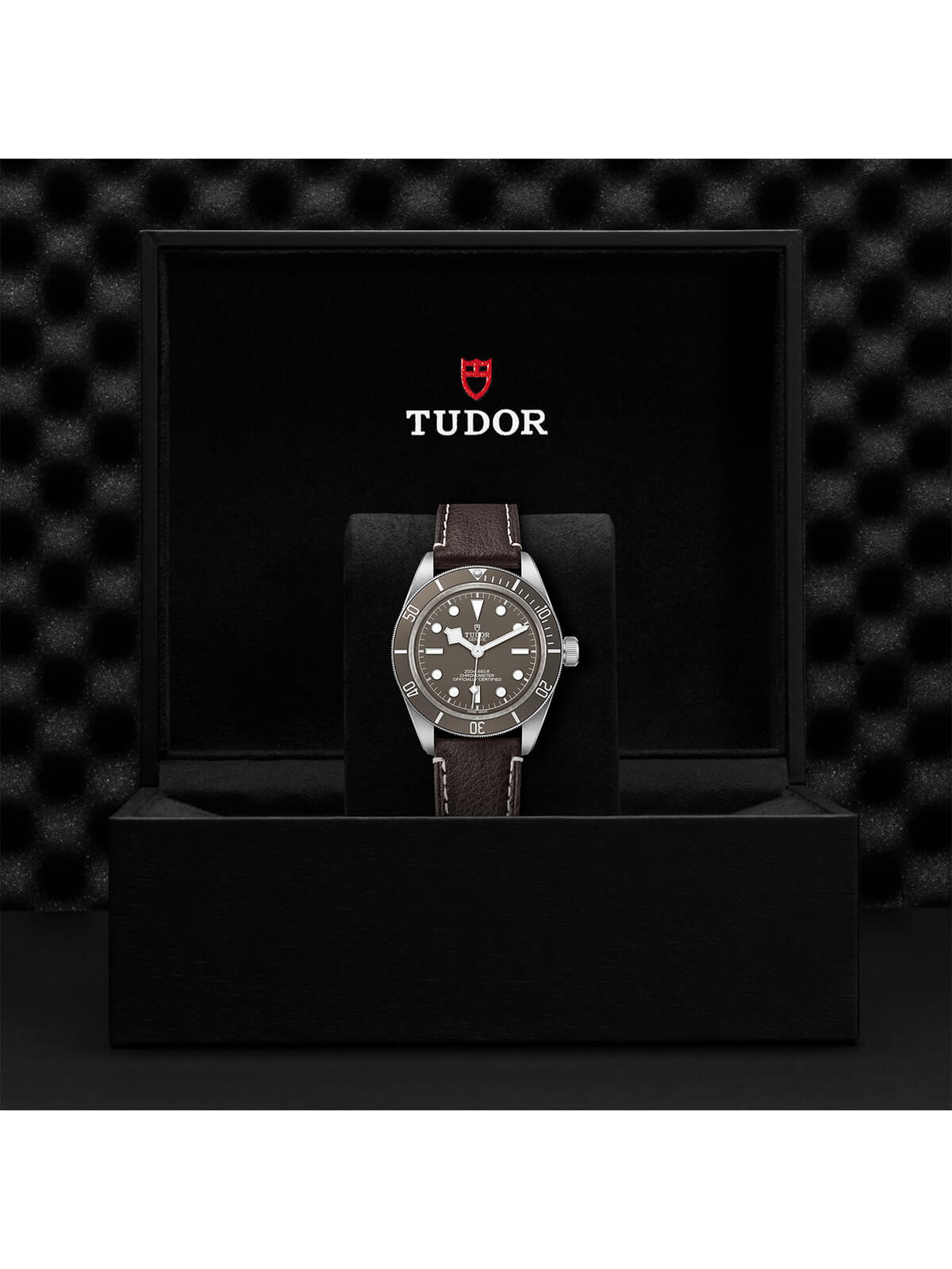 TUDOR Black Bay Fifty-Eight 925 Watch 39mm M79010SG-0001