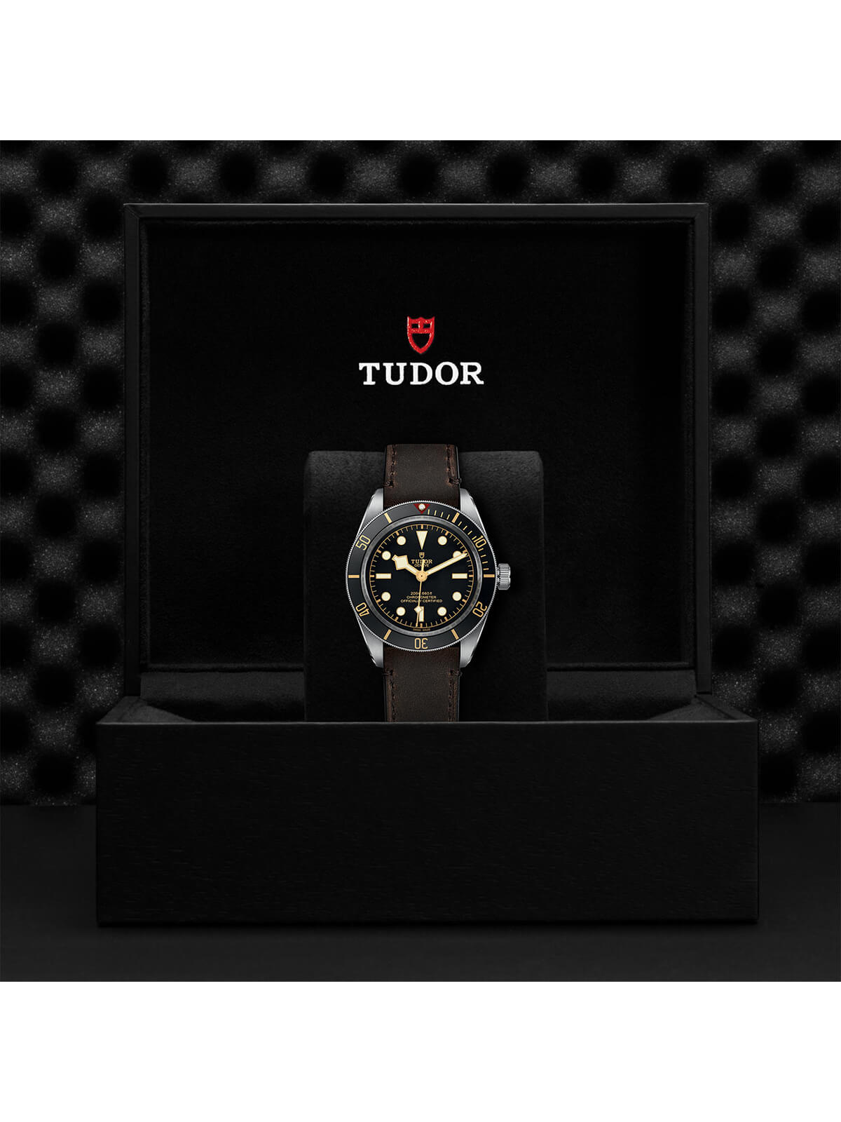 TUDOR Black Bay Fifty-Eight Watch 39mm M79030N-0002