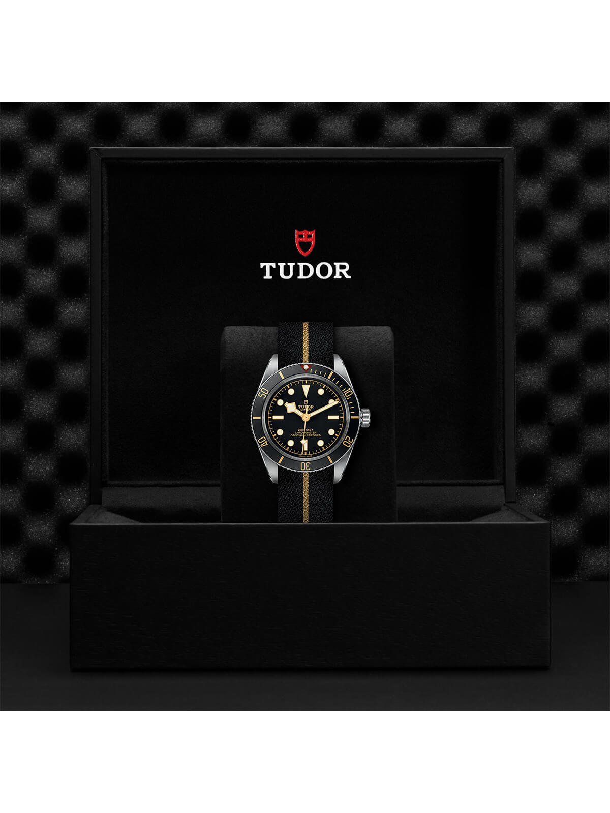 TUDOR Black Bay 58 Watch 39mm M79030N-0003