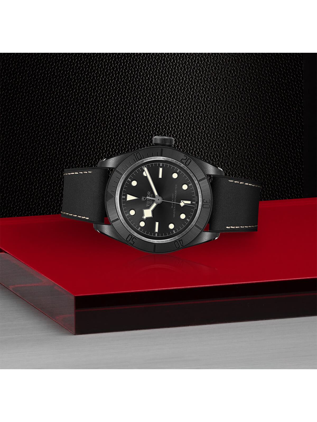 TUDOR Black Bay Ceramic Watch 41mm M79210CNU-0001