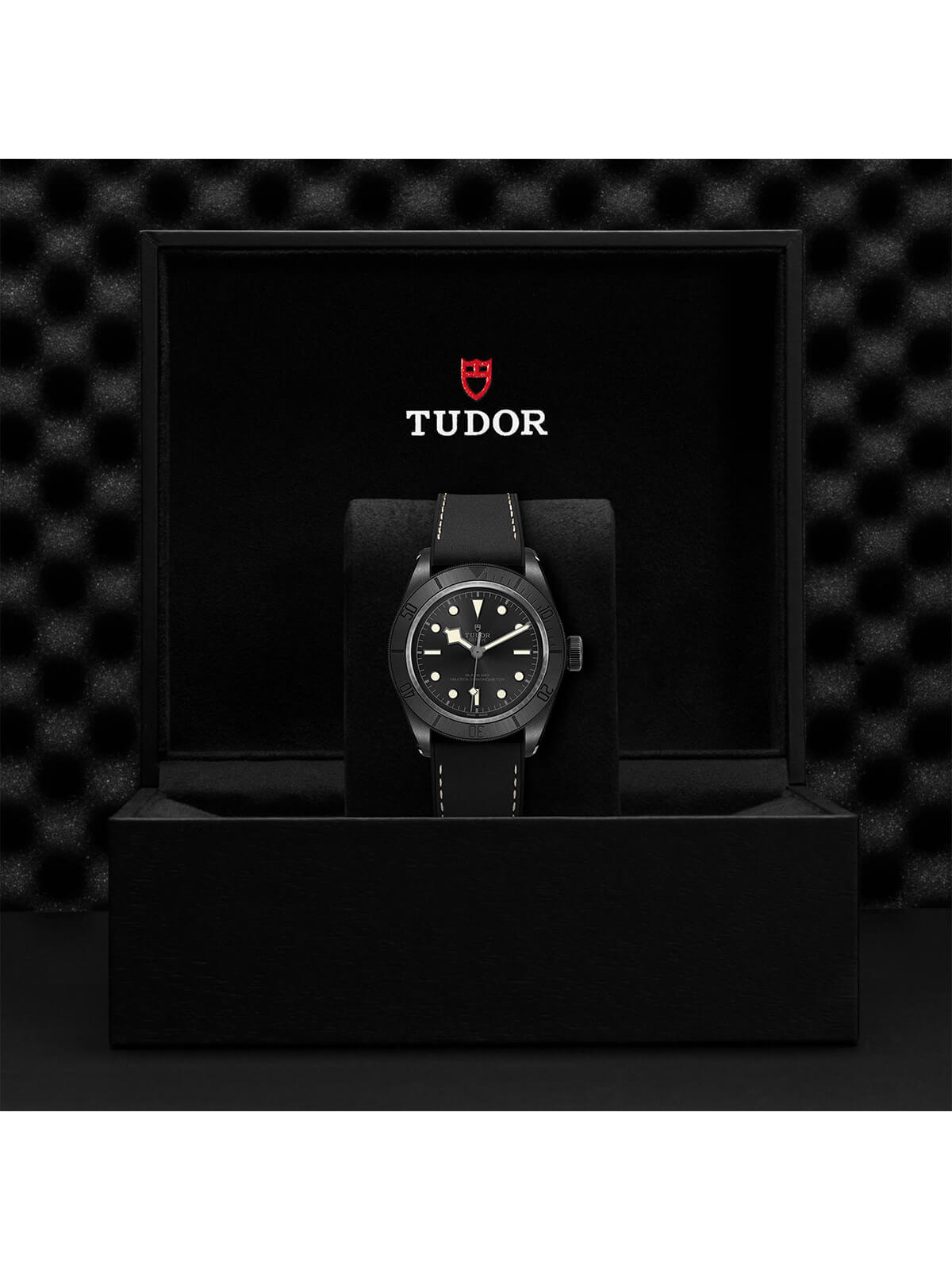 TUDOR Black Bay Ceramic Watch 41mm M79210CNU-0001