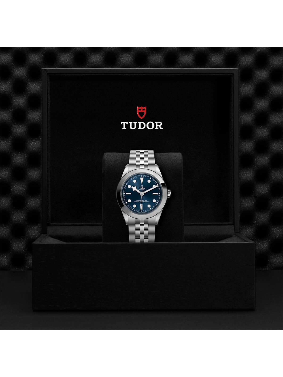 TUDOR Black Bay One Watch 39mm M79660-0002