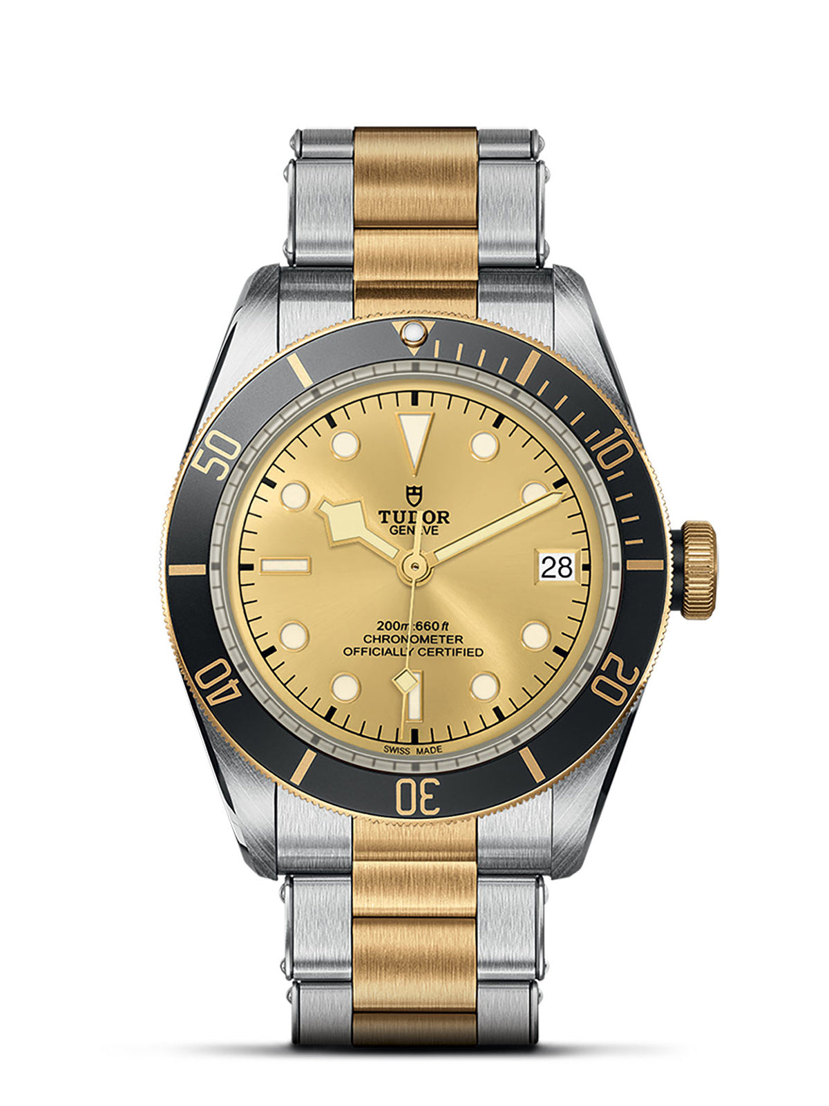 TUDOR Black Bay S&G Watch 41mm M79733N-0004