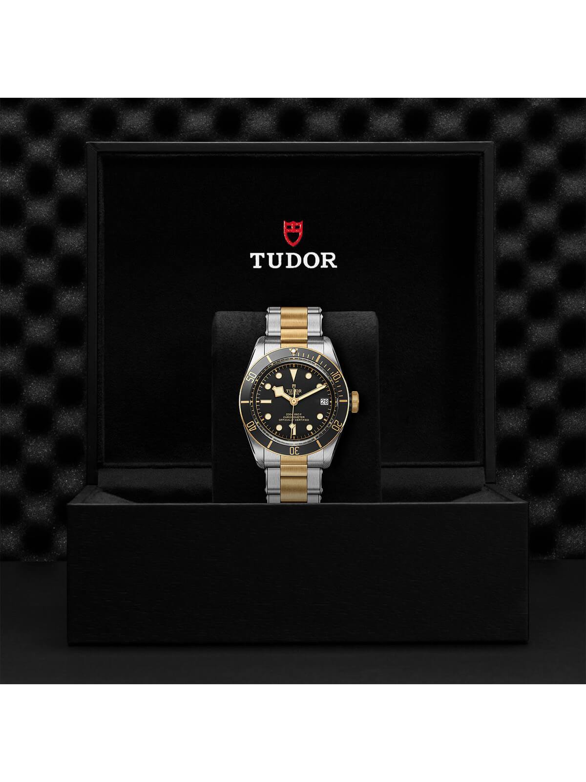 TUDOR Black Bay S&G Watch 41mm M79733N-0008