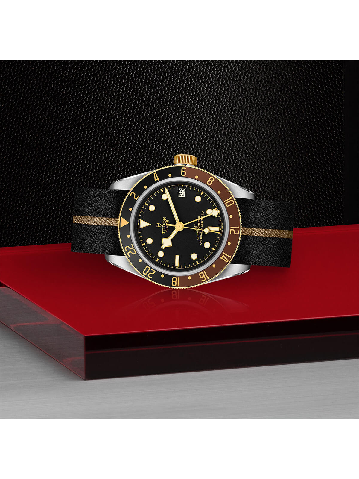 TUDOR Black Bay GMT S&G Watch M79833MN-0004