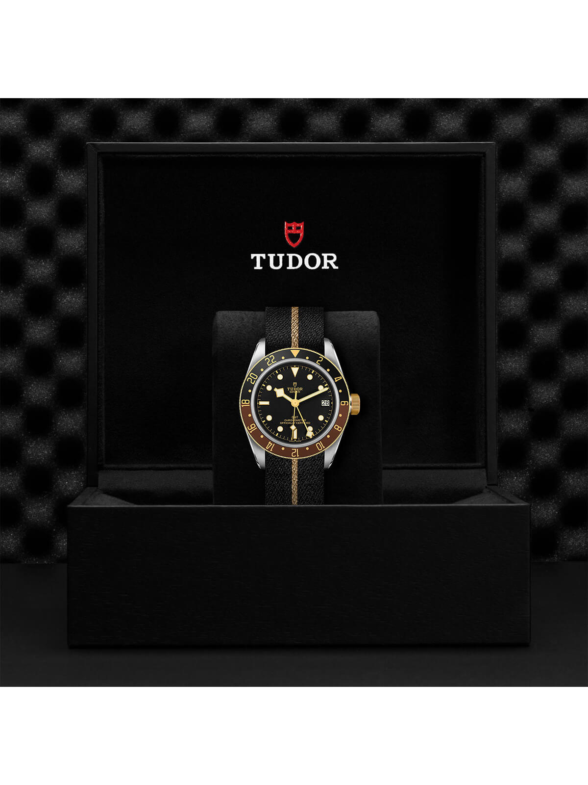 TUDOR Black Bay GMT S&G Watch M79833MN-0004