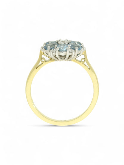 0.94ct Oval Cut Aquamarine & 0.24ct Round Brilliant Cut Diamond Cluster Ring in 18ct Yellow & White Gold