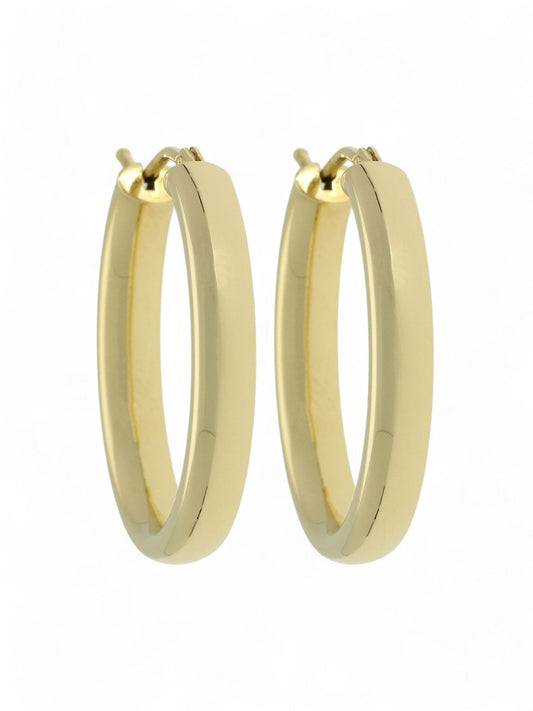Polish Oval D Shape Hoop Earrings in 9ct Yellow Gold
