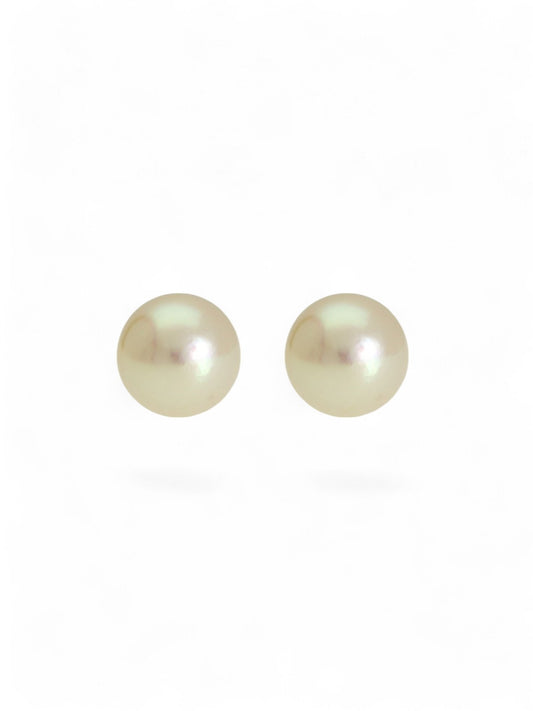 White Cultured Pearl Stud Earrings 5.5mm in 9ct Yellow Gold