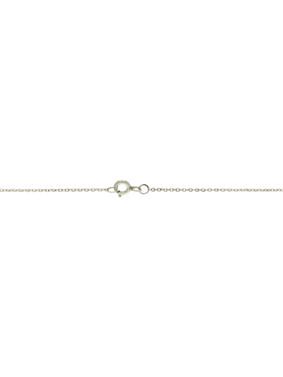 Polished Oval Locket Pendant Necklace in Silver