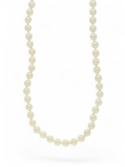 Single-row white pearl necklace on a white background.