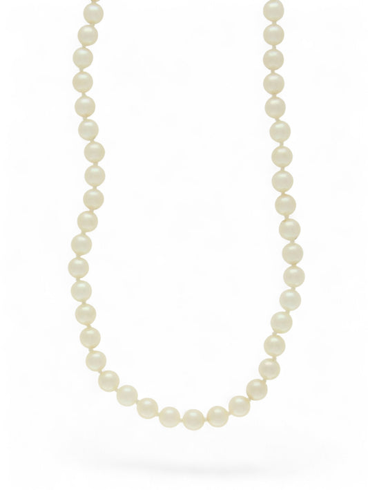 Single-row white pearl necklace on a white background.
