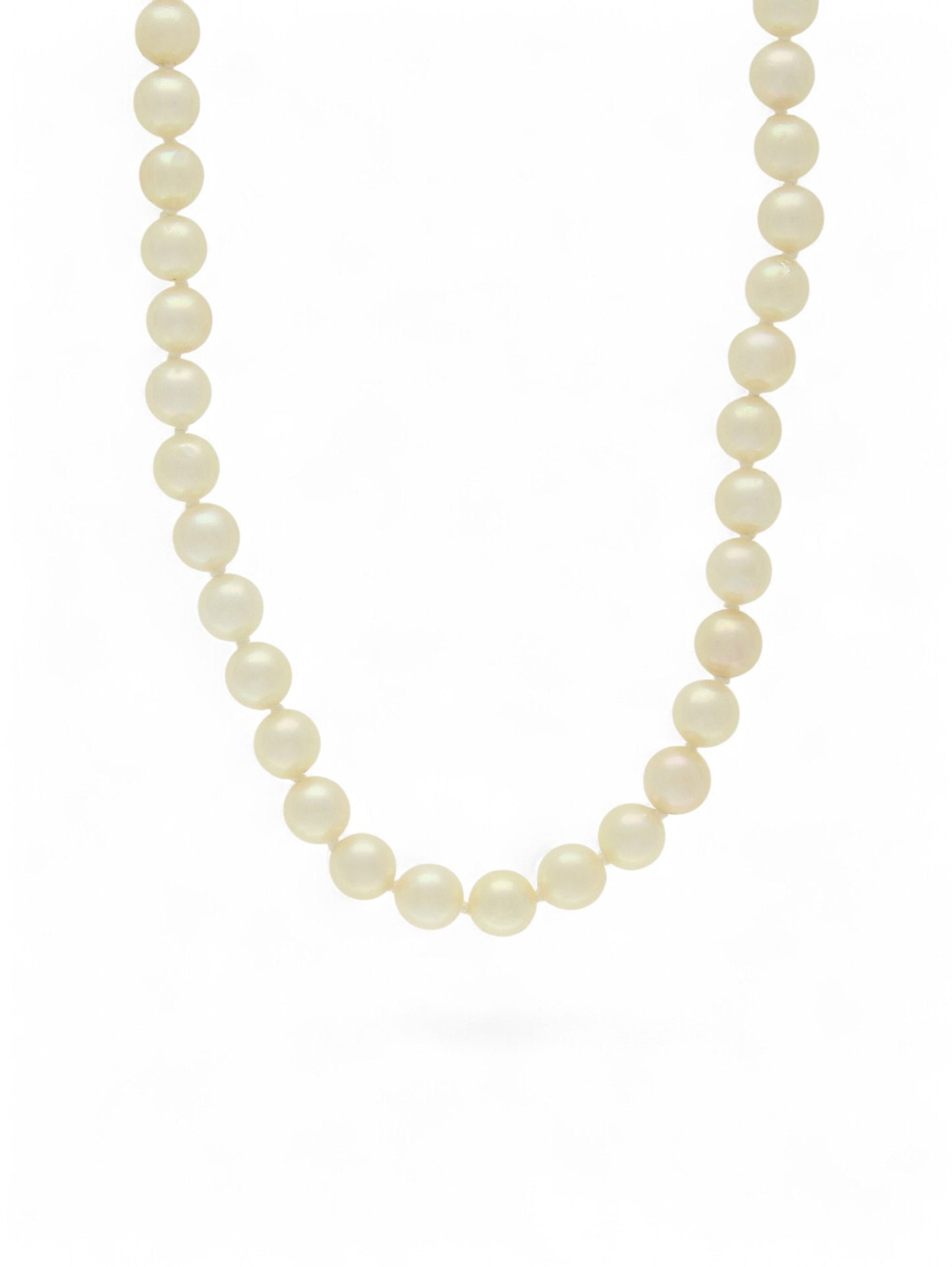 Single strand of white pearls on a white background.