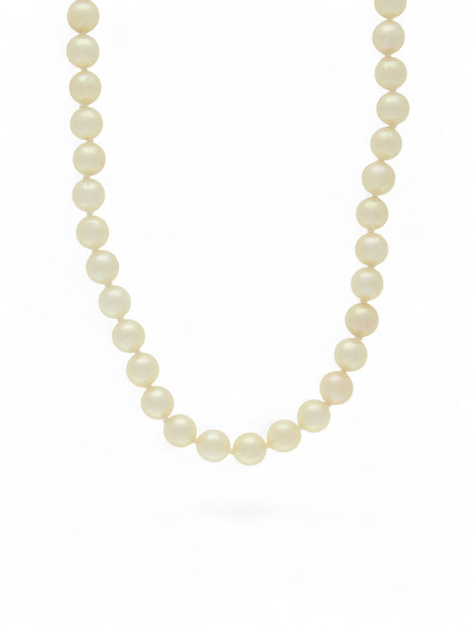 Single strand of white pearls on a white background.