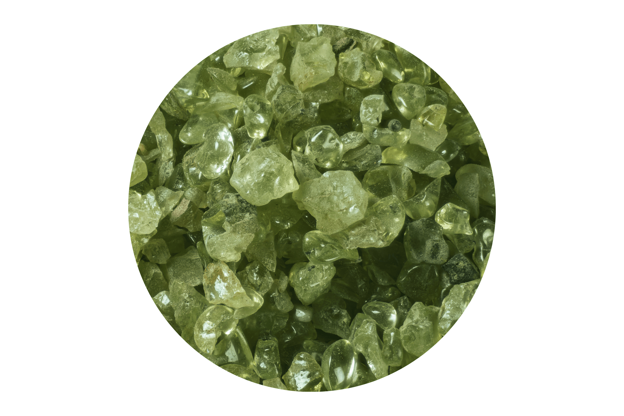 Close-up of green peridot gemstones on a white background.
