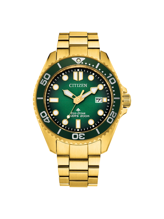 Citizen Eco-Drive Promaster Diver Watch BN0262-59W