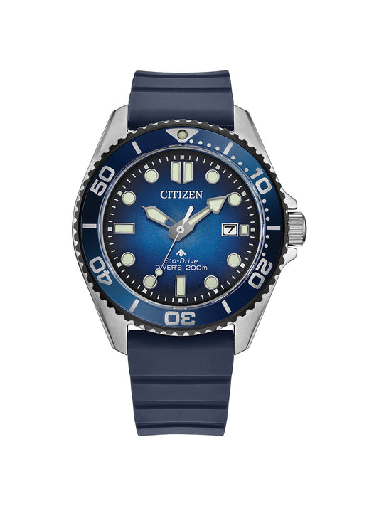 Citizen Eco-Drive Promaster Diver with 41mm steel case, blue rubber strap and blue dial on a white background.