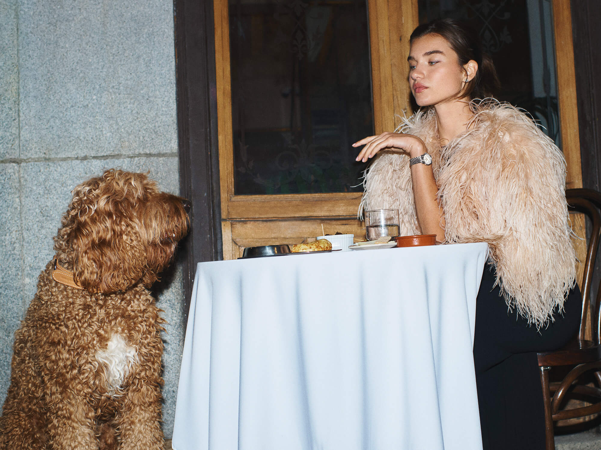 Breitling Lady Premier Watches - Brufords in Eastbourne Image