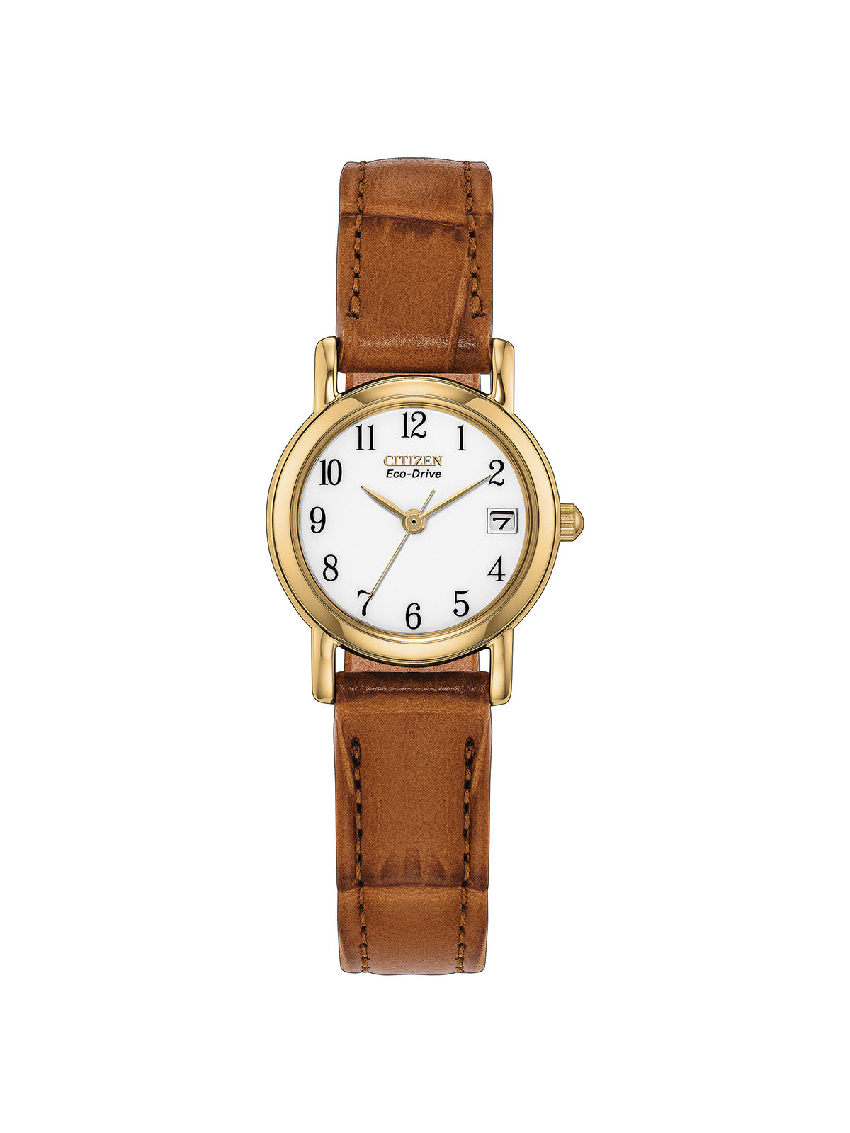 Citizen Eco-Drive with 23mm gold plated case, brown leather strap and white dial on a white background.