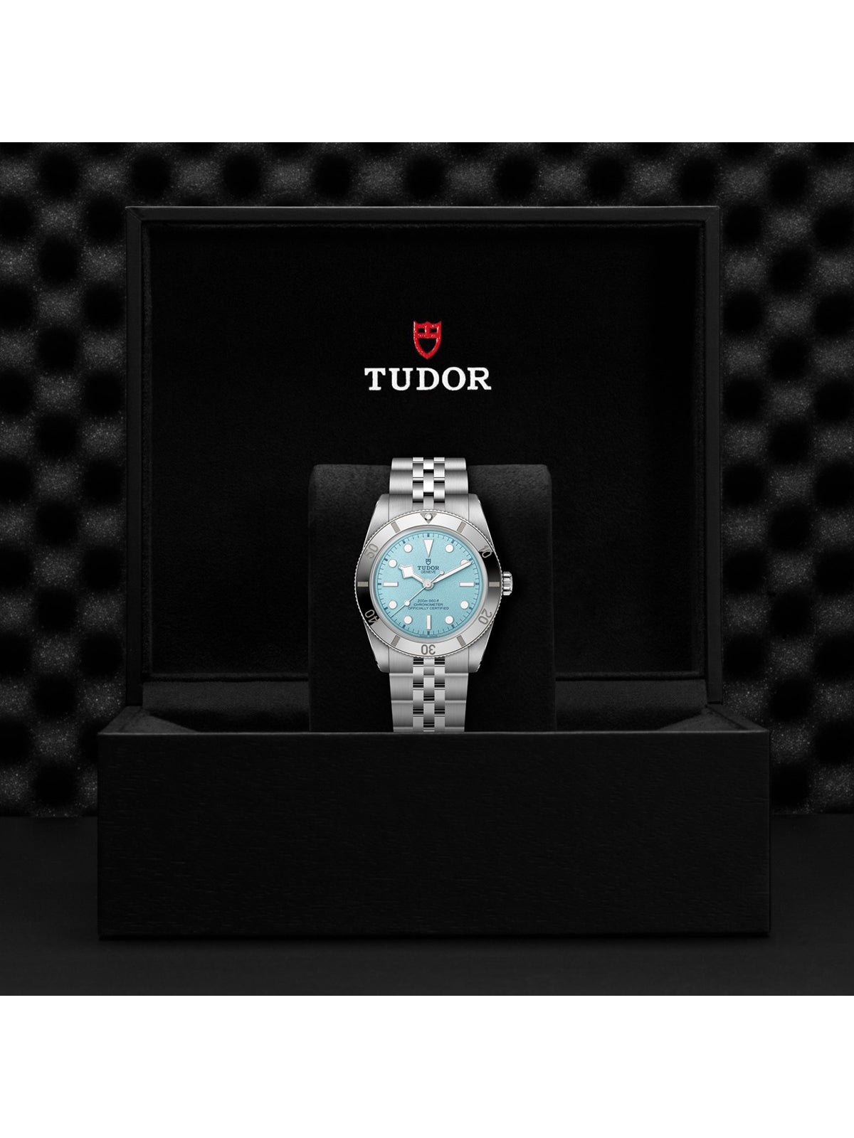 TUDOR Black Bay 54 "Lagoon Blue" Watch M79000-0001
