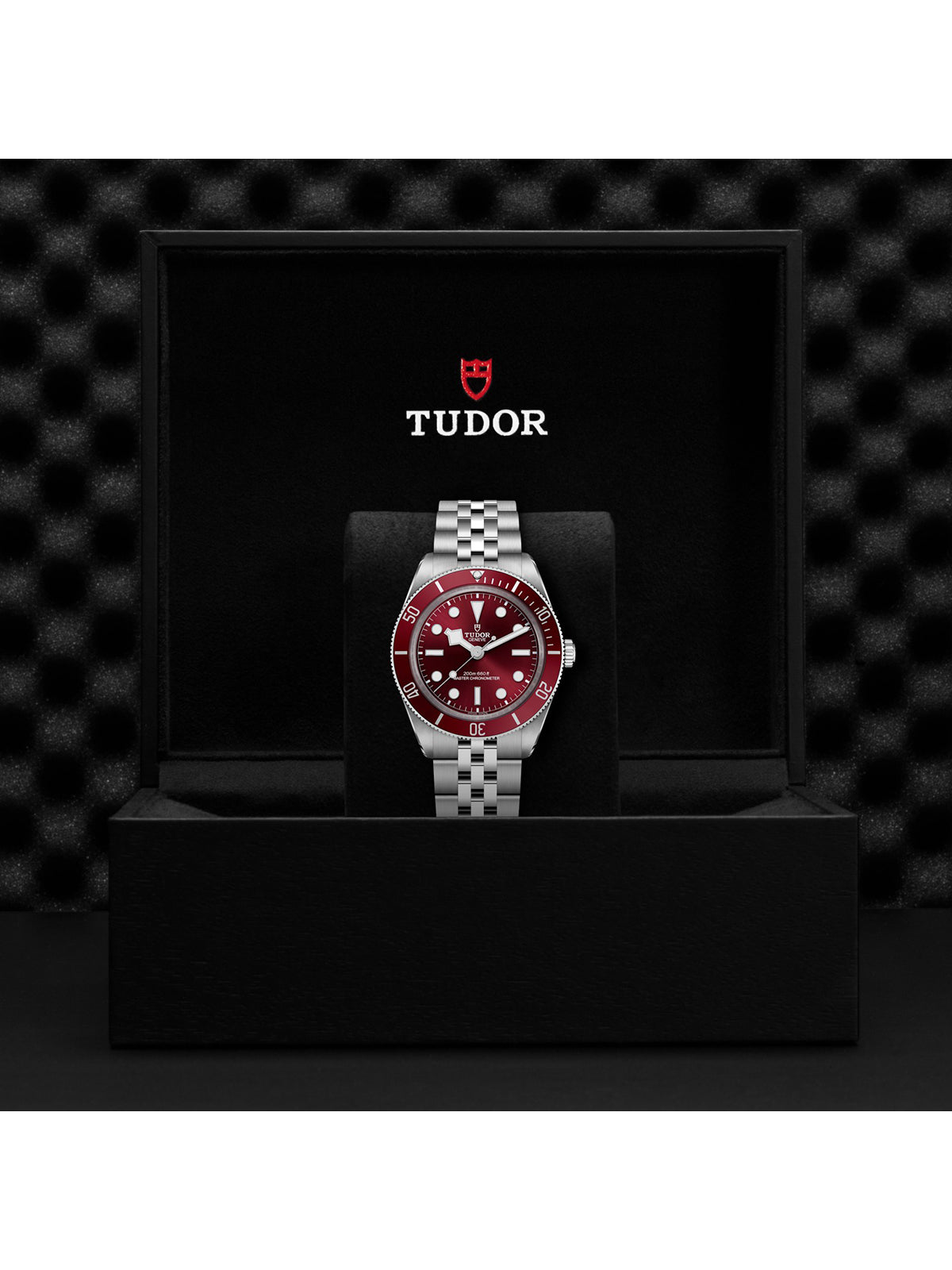 TUDOR Black Bay 58 Watch 39mm M7939A1A0RU-0001