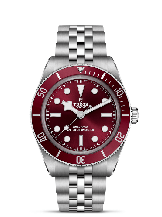 TUDOR Black Bay 58 Watch 39mm M7939A1A0RU-0001