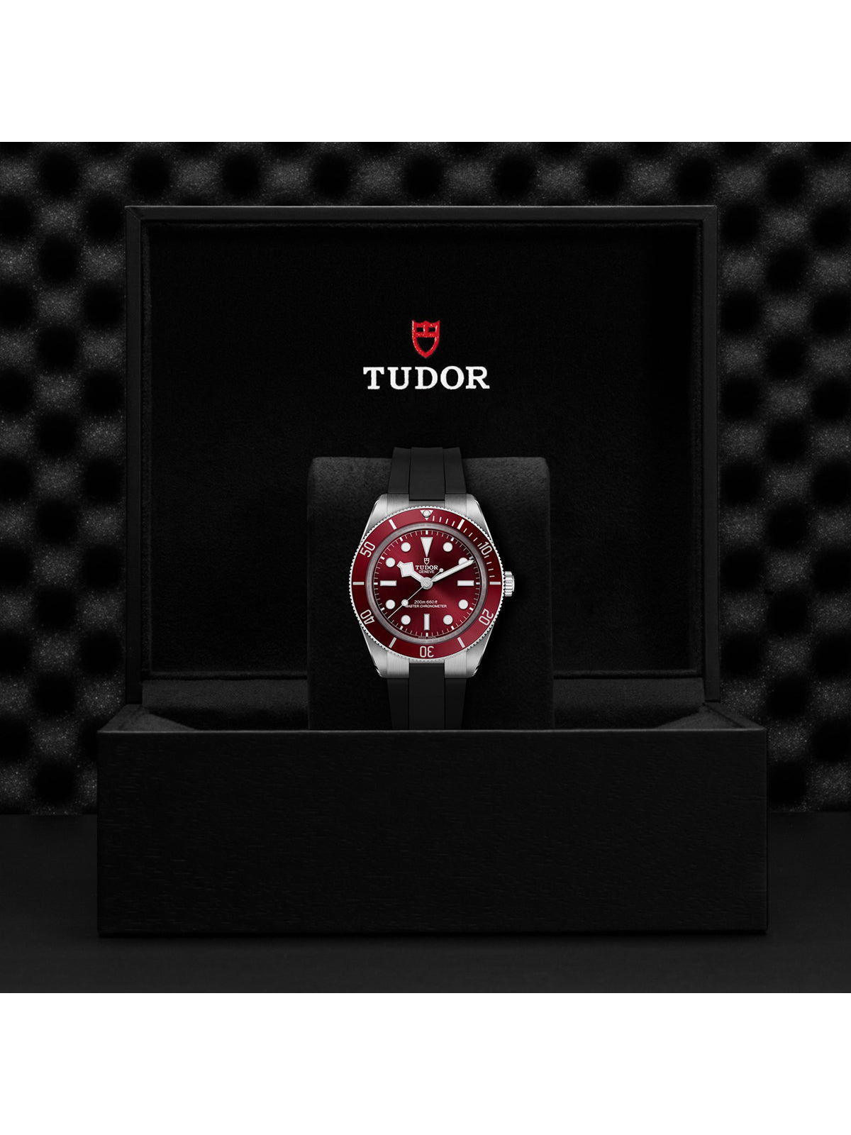 TUDOR Black Bay 58 Watch 39mm M7939A1A0RU-0003