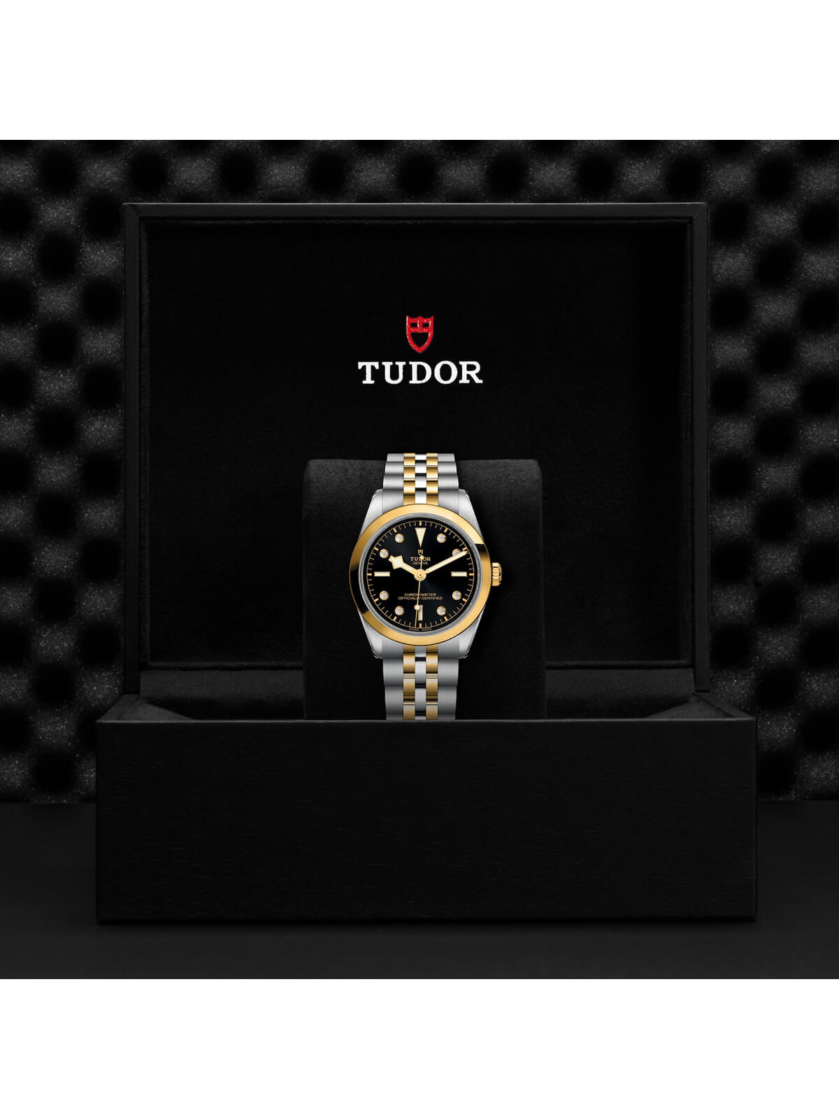 TUDOR Black Bay One S&G Watch 36mm M79643-0006