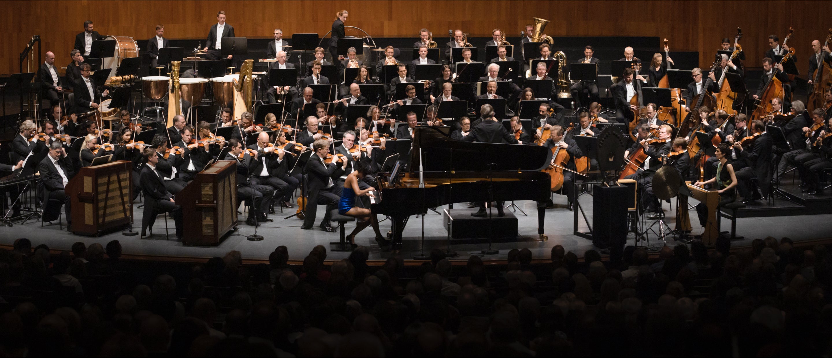Rolex and the Vienna Philharmonic - Brufords Image