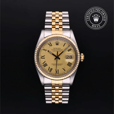Rolex Datejust 36 with steel & yellow-gold Jubilee bracelet and champagne dial, on a black background with CPO logo.