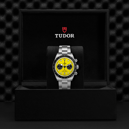 TUDOR Black Bay Chrono 39 “Bumblebee”