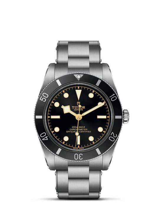 TUDOR Black Bay 54 Watch 37mm M79000N-0001