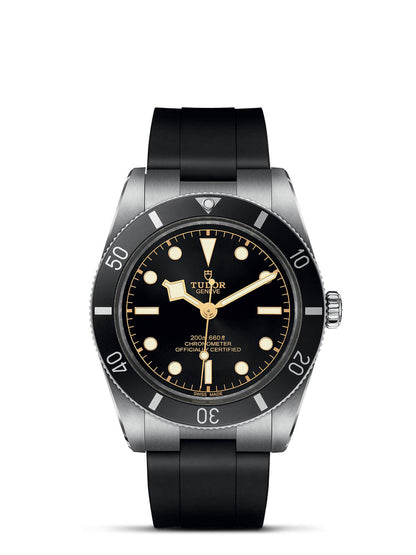 TUDOR Black Bay 54 Watch 37mm M79000N-0002