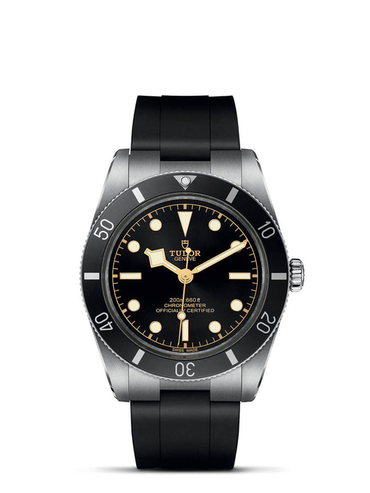 TUDOR Black Bay 54 Watch 37mm M79000N-0002