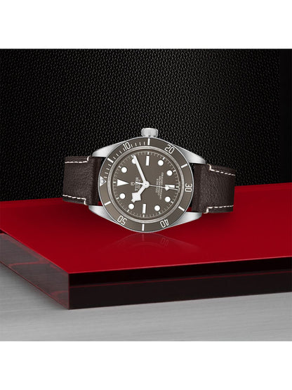 TUDOR Black Bay Fifty-Eight 925 Watch 39mm M79010SG-0001