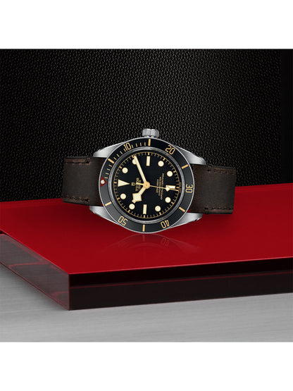 TUDOR Black Bay Fifty-Eight Watch 39mm M79030N-0002