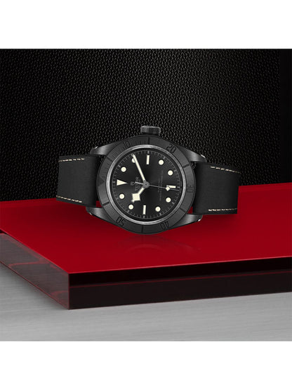 TUDOR Black Bay Ceramic Watch 41mm M79210CNU-0001