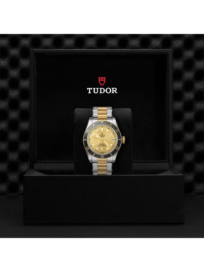TUDOR Black Bay S&G Watch 41mm M79733N-0004