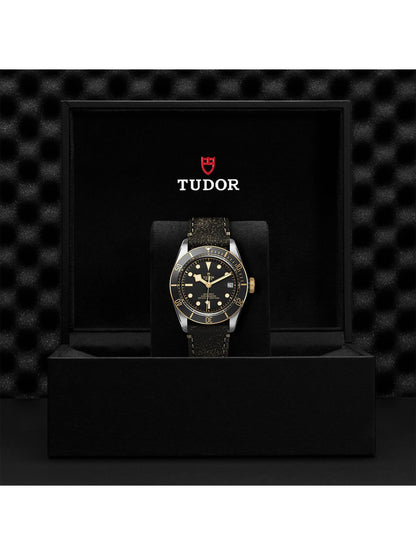 TUDOR Black Bay S&G Watch 41mm M79733N-0007