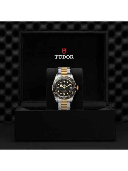 TUDOR Black Bay S&G Watch 41mm M79733N-0008
