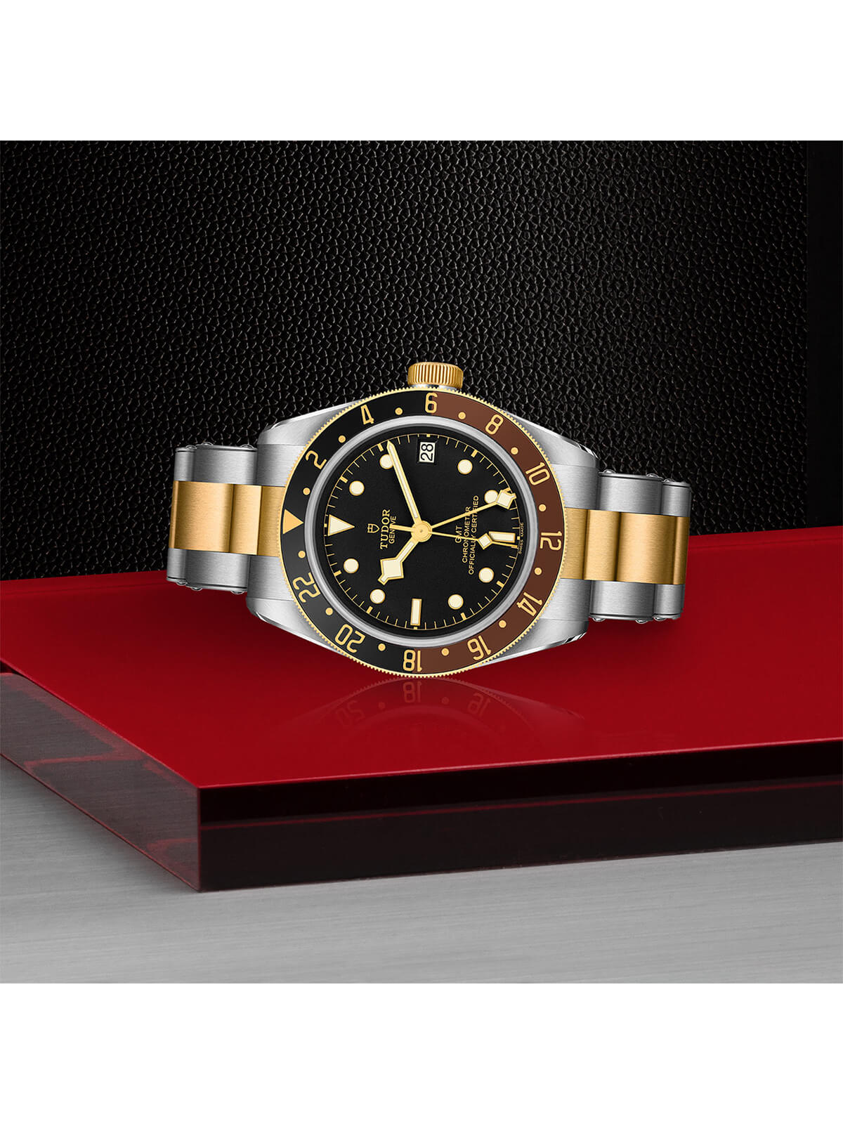 TUDOR Black Bay GMT S&G Watch 41mm M79833MN-0001